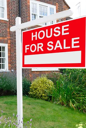 Real Estate
